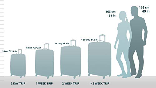 Rockland Departure Hardside Spinner Wheel Luggage, Carry-On 20", Departure
