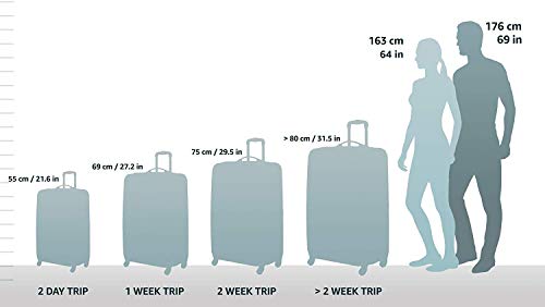 Rockland Laguna Beach Hardside Spinner Wheel Luggage, Black Dot, Carry-On 20"
