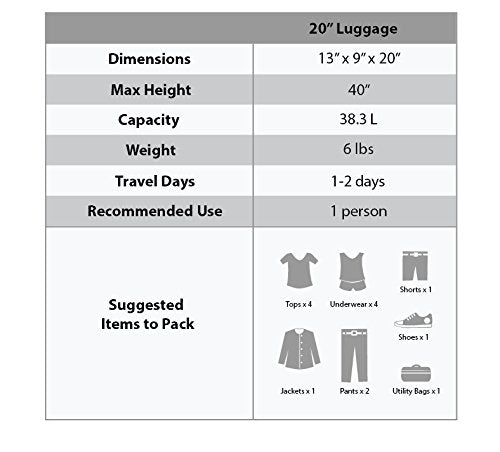 Rockland Safari Hardside Spinner Wheel Luggage, Blue Leopard, Carry-On 20-Inch