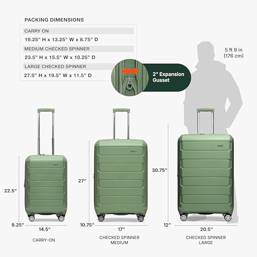 Traveler's Choice Pagosa Hardshell Expandable Luggage with Spinner Wheels, Green, 22-Inch Carry-on