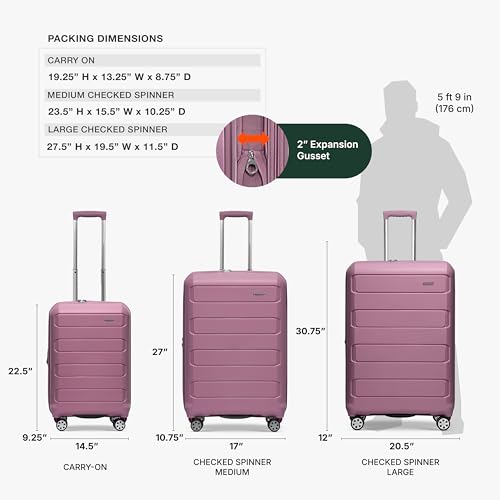 Traveler's Choice Pagosa Hardshell Expandable Luggage with Spinner Wheels, Mauve, 22-Inch Carry-on